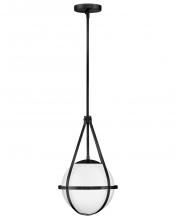 Lark 83677BK - Small Pendant