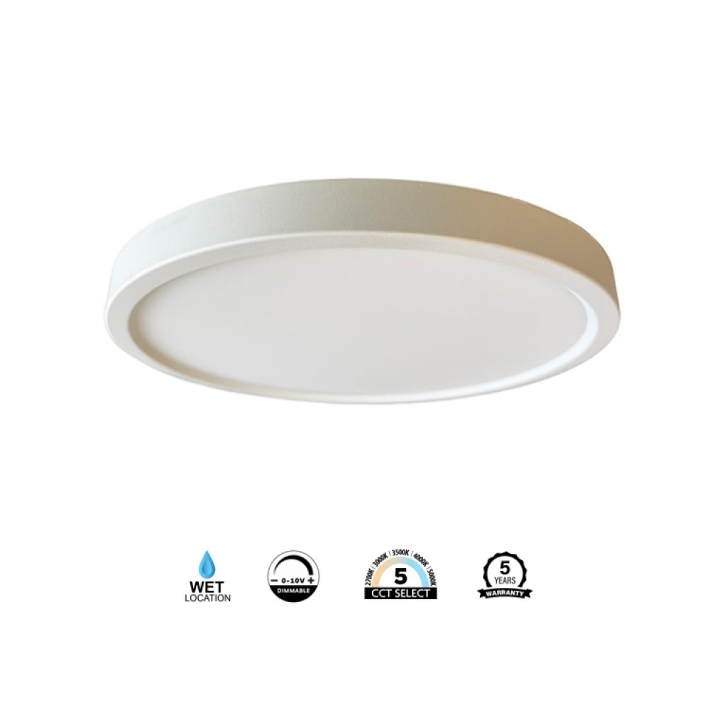 Flush Mount White