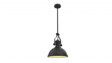 Vinci Lighting Inc. P1010BK - Pendant Black