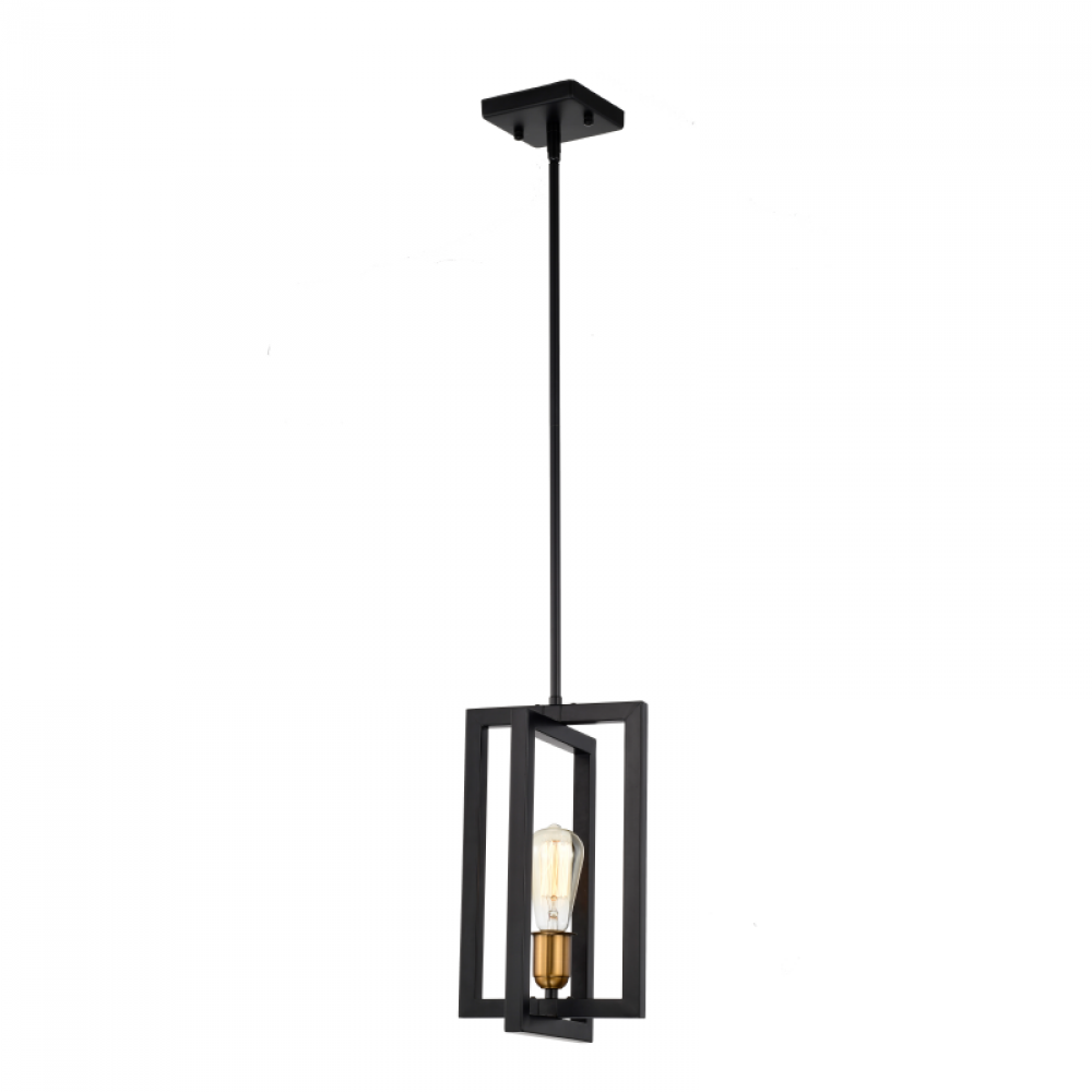 1-Light 8" Pendant in black finish with Gold Socket Rings