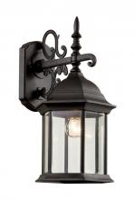 Trans Globe 4353 BG - Josephine 14.5" Wall Lantern