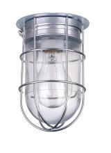 Canarm BL04CWG - Barn Lighting 1 Light Outdoor Lantern, Metal Finish