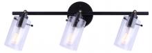 Canarm IT759A03BK - Joni 3 Light Track Lighting, Black Finish