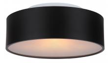 Canarm IFM318A13BK - Dexter 2 Light Flush Mount, Black Finish