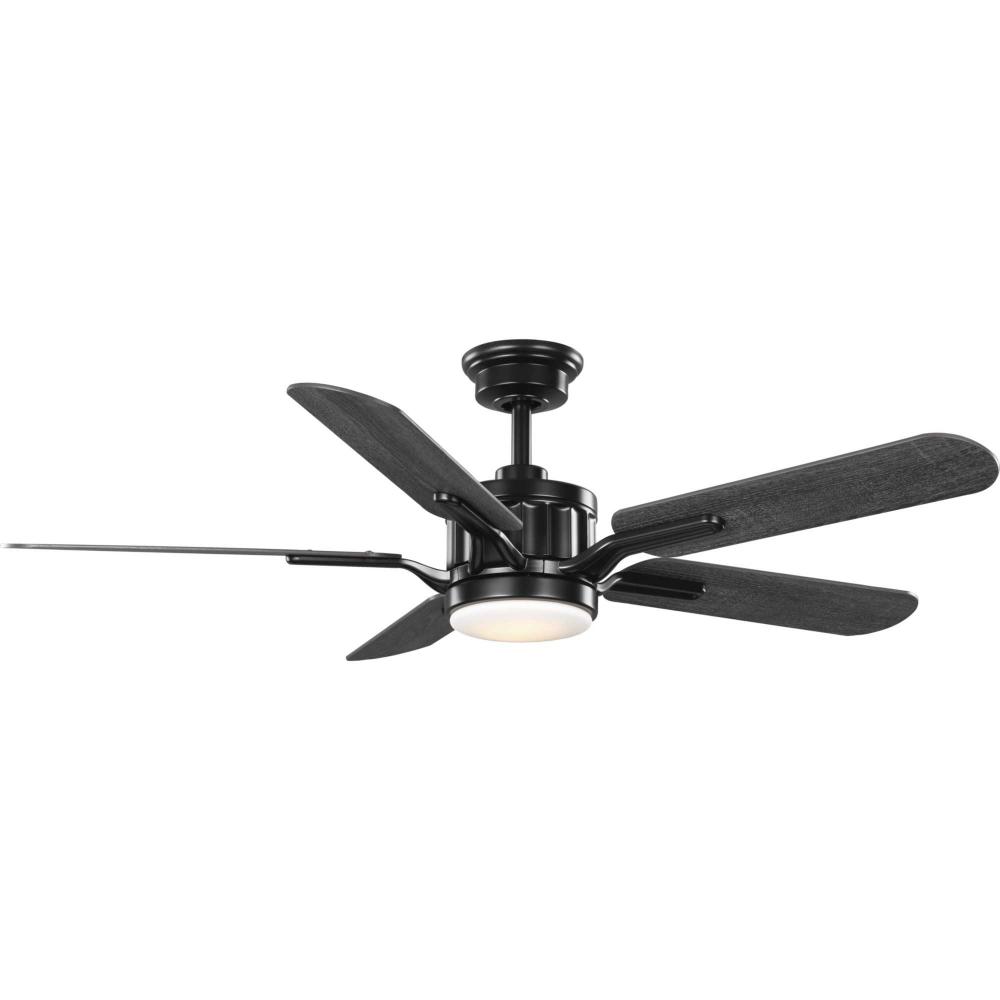 P250007-031-30 54IN 5 BLADE FAN W/LTE