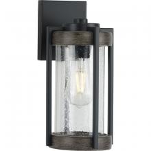 Progress P560281-31M - P560281-31M 1-60W MED WALL LANTERN