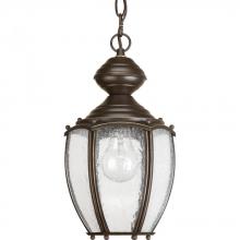 Progress P5565-20 - P5565-20 1-100W MED HANGING LANTERN