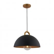 Artcraft AC12000BB - Pantheon-1-Light Pendant-15.75"-Black/Rust Brass