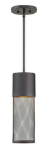 Hinkley Canada 2302BK - Medium Hanging Lantern