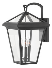 Hinkley Canada 2565MB - Medium Wall Mount Lantern