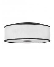 Hinkley Canada 42010BK - Large Flush Mount