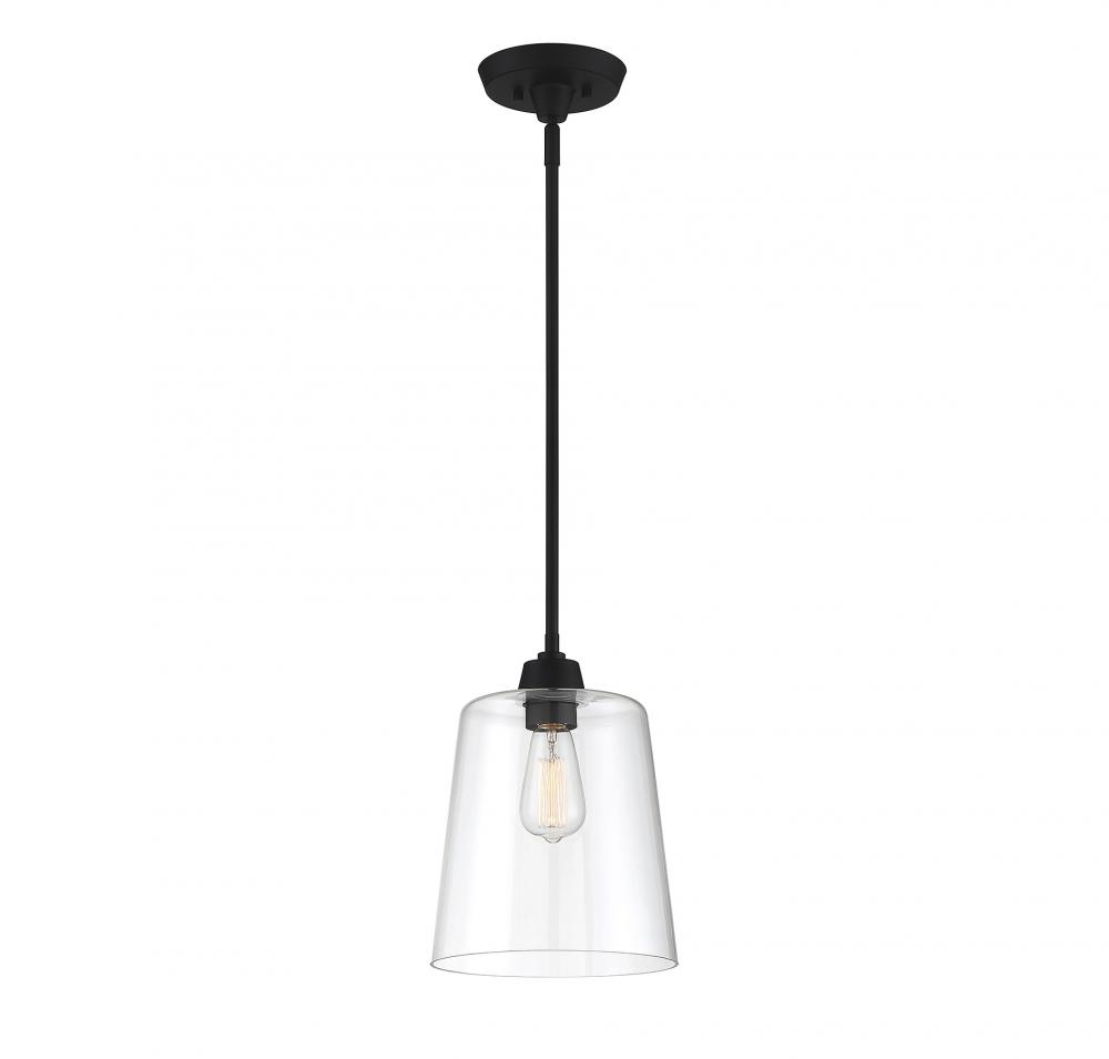 1-Light Pendant in Matte Black