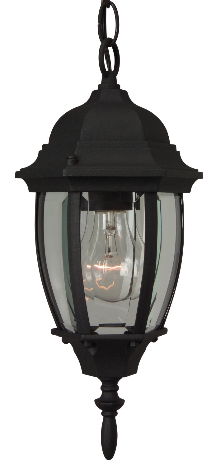 Bent Glass 1 Light Outdoor Pendant in Textured Black