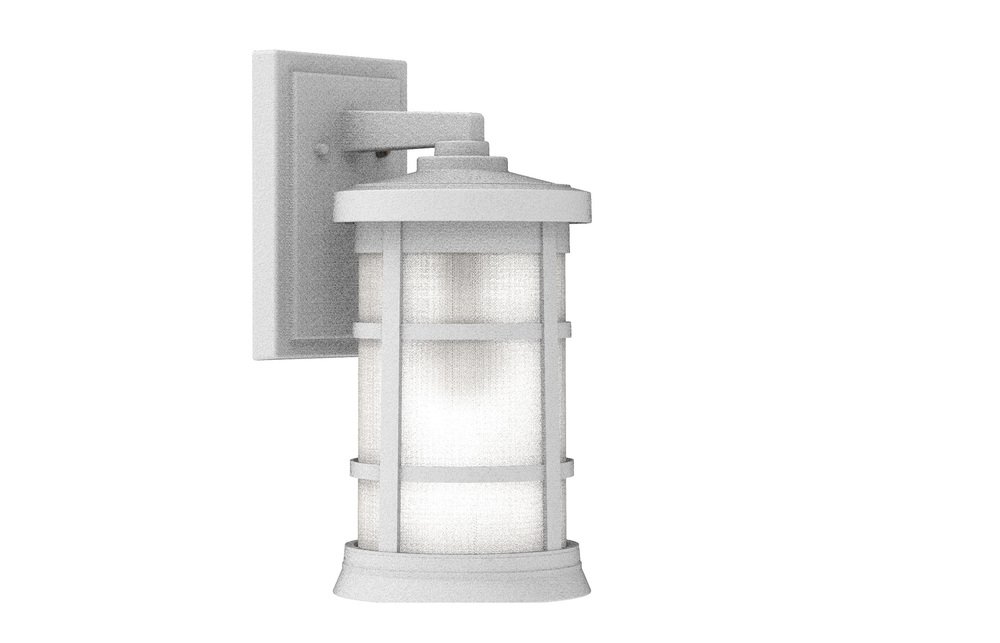 Resilience 1 Light Medium Outdoor Wall Lantern in Textured White